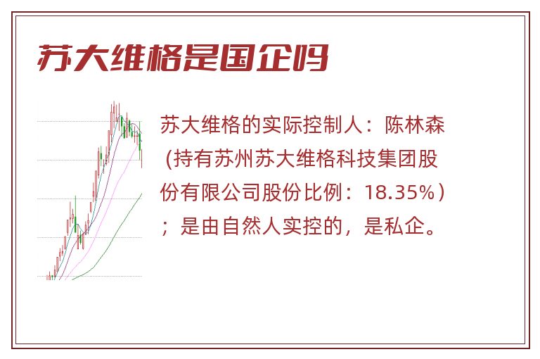 苏大维格是国企吗