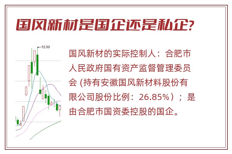 国风新材是国企还是私企?