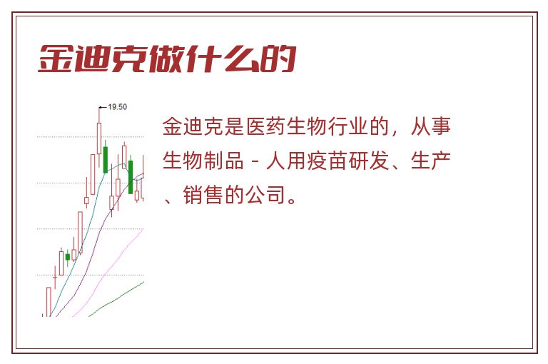 金迪克做什么的.jpg 金迪克,金迪克做什么的.jpg