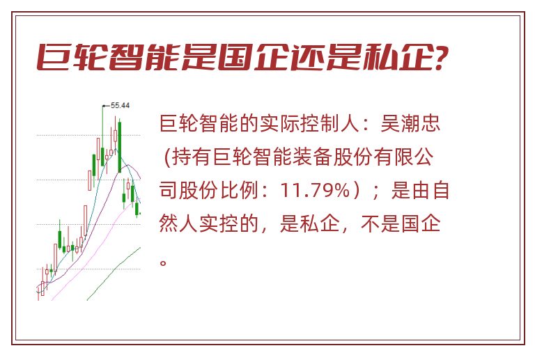 巨轮智能是国企还是私企？