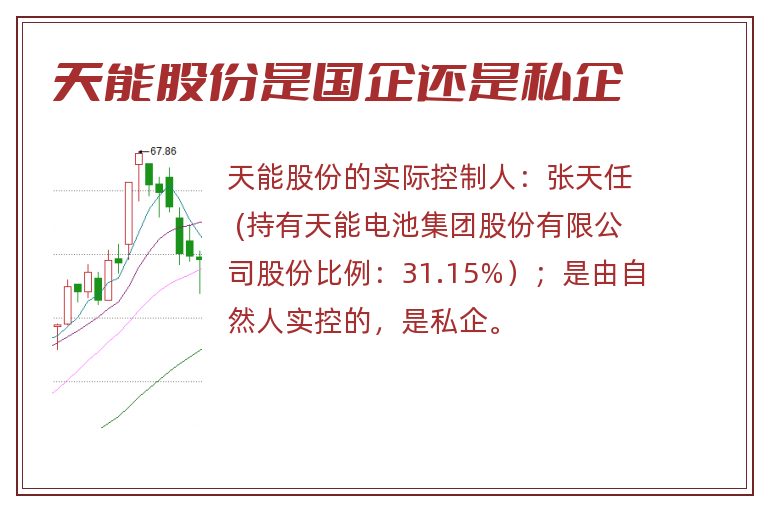 天能股份是国企还是私企