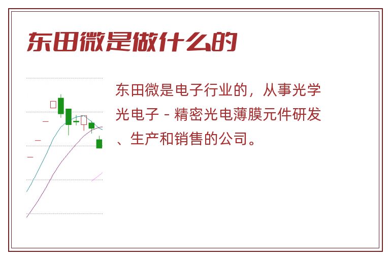 东田微是做什么的.jpg 东田微,东田微是做什么的.jpg