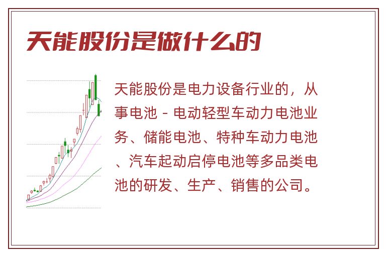 天能股份是做什么的