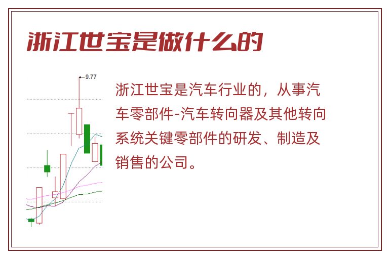 浙江世宝是做什么的.jpg 浙江世宝,浙江世宝是做什么的.jpg