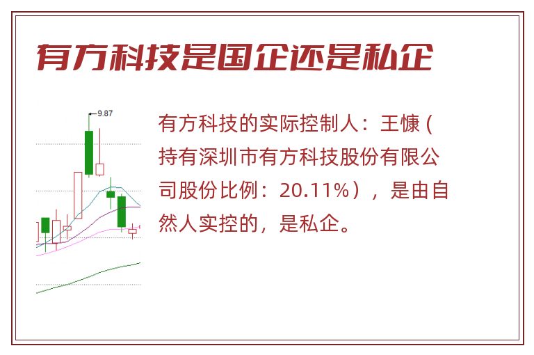 有方科技是国企还是私企
