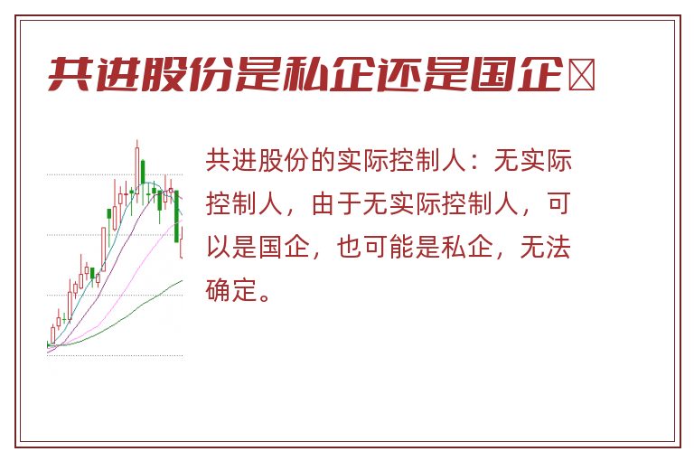 共进股份是私企还是国企	
