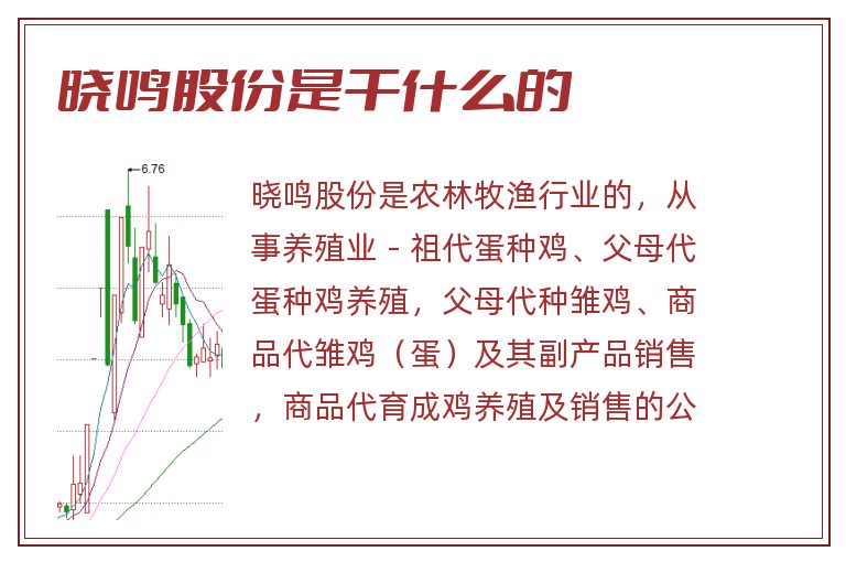 晓鸣股份是干什么的.jpg 晓鸣股份,晓鸣股份是干什么的.jpg