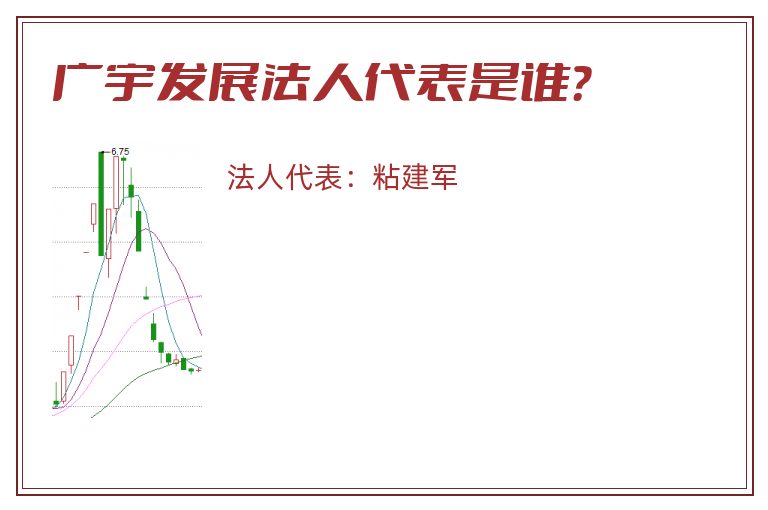 广宇发展法人代表是谁?.jpg 广宇发展.jpg