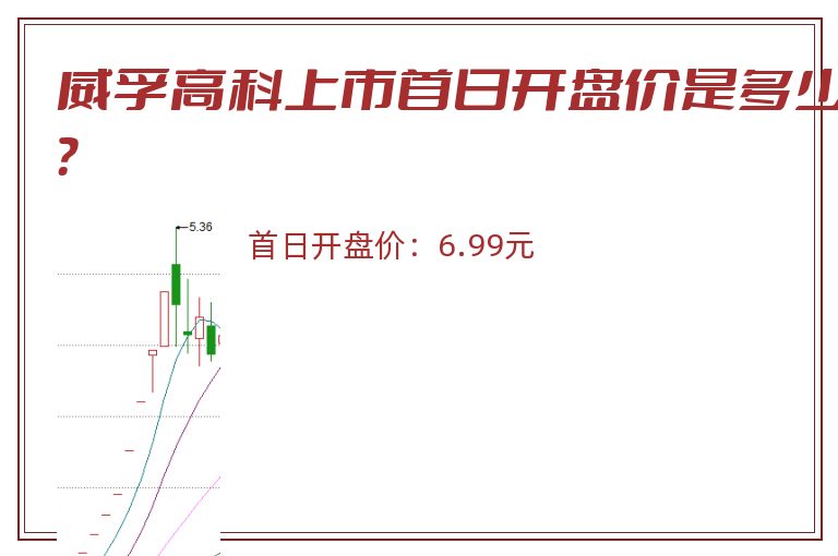 威孚高科上市首日开盘价是多少?.jpg 威孚高科.jpg