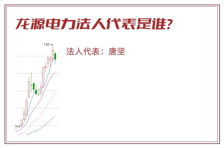 龙源电力法人代表是谁？