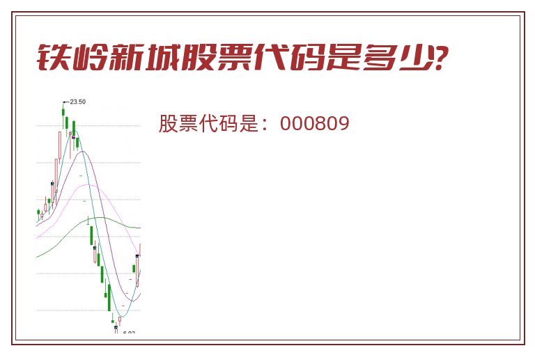 铁岭新城股票代码是多少？