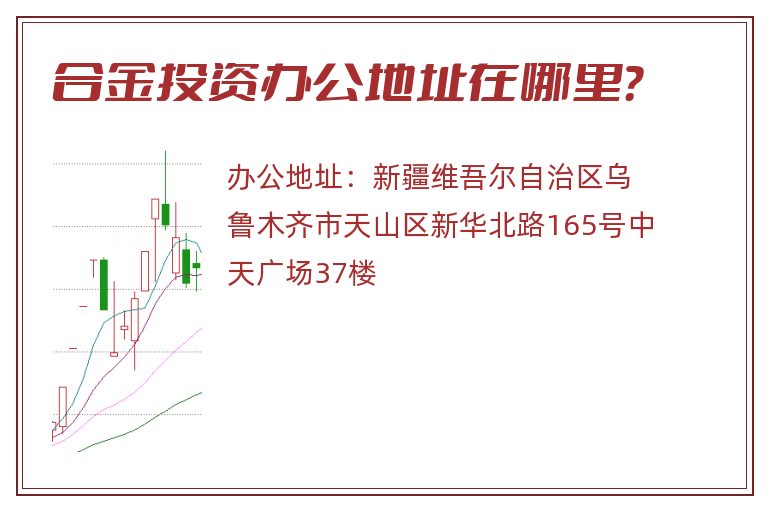 合金投资办公地址在哪里？