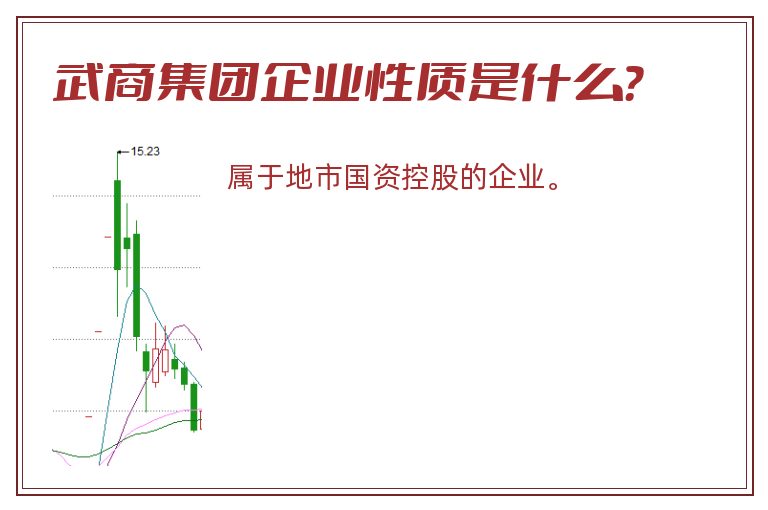 武商集团企业性质是什么？