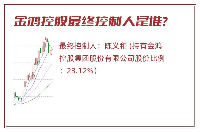 金鸿控股最终控制人是谁？