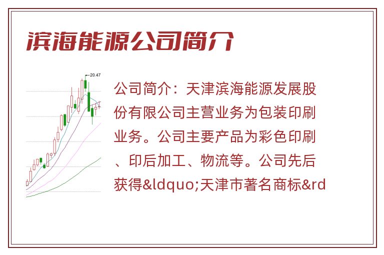 滨海能源公司简介
