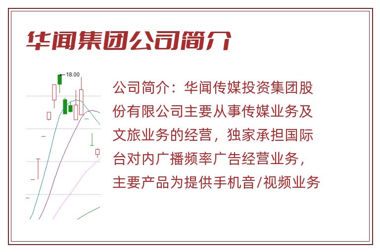 华闻集团公司简介