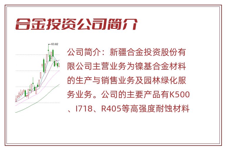 合金投资公司简介