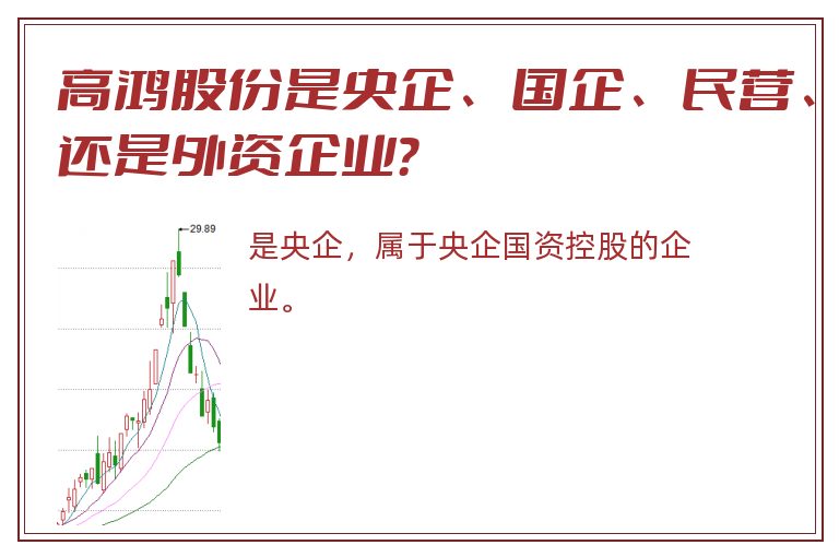 高鸿股份是央企、国企、民营、还是外资企业？