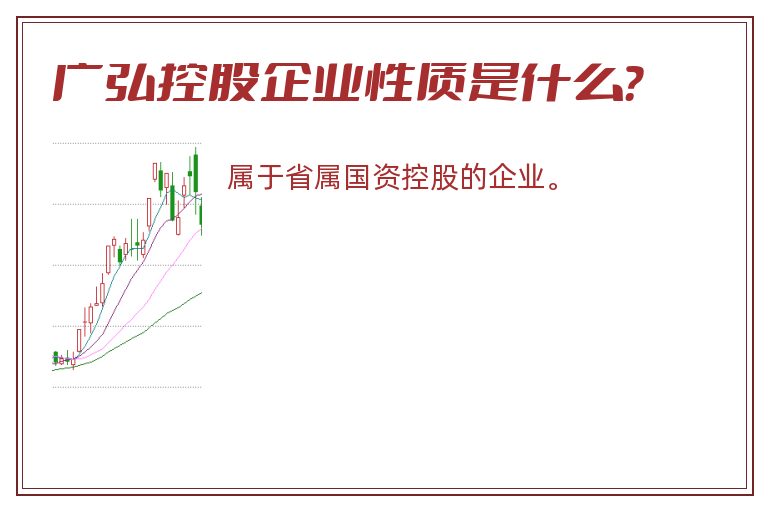 广弘控股企业性质是什么？