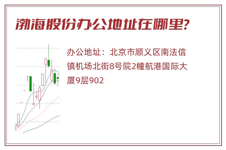 渤海股份办公地址在哪里？