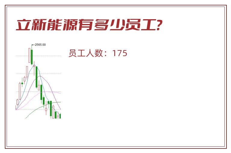 立新能源有多少员工？
