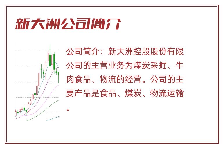 新大洲公司简介