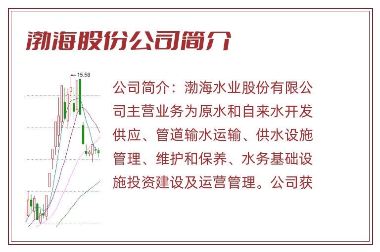 渤海股份公司简介