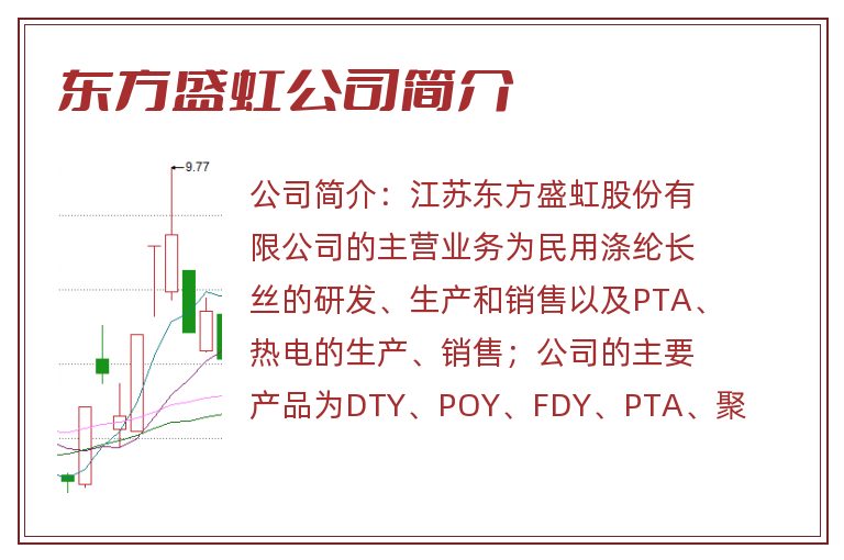 东方盛虹公司简介
