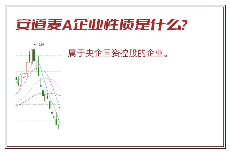 安道麦A企业性质是什么？