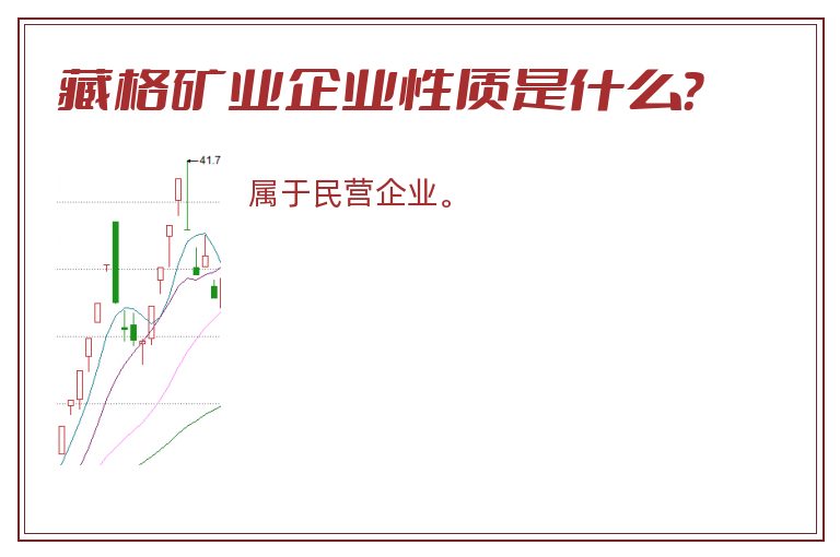 藏格矿业企业性质是什么？