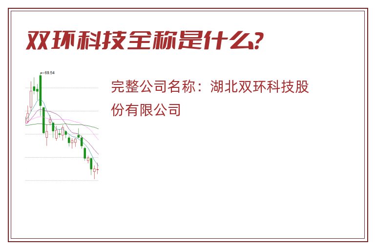 双环科技全称是什么？