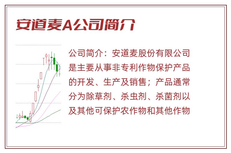 安道麦A公司简介