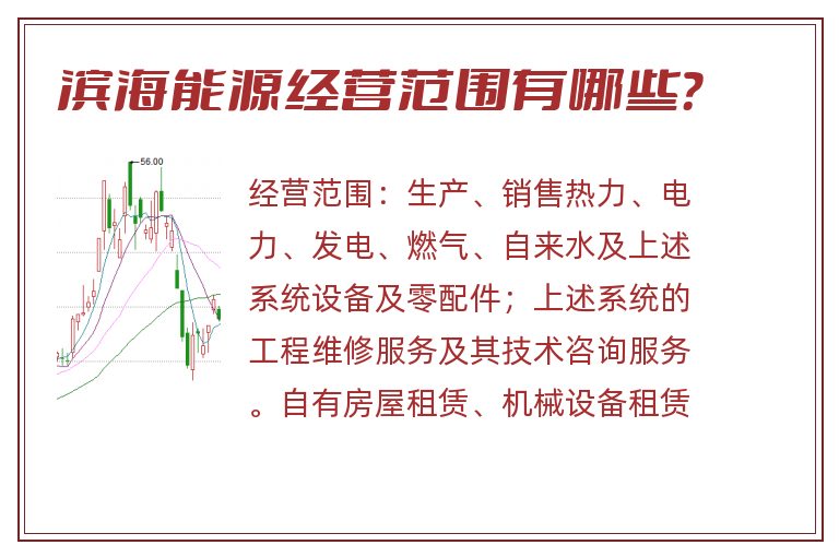 滨海能源经营范围有哪些?.jpg 滨海能源.jpg
