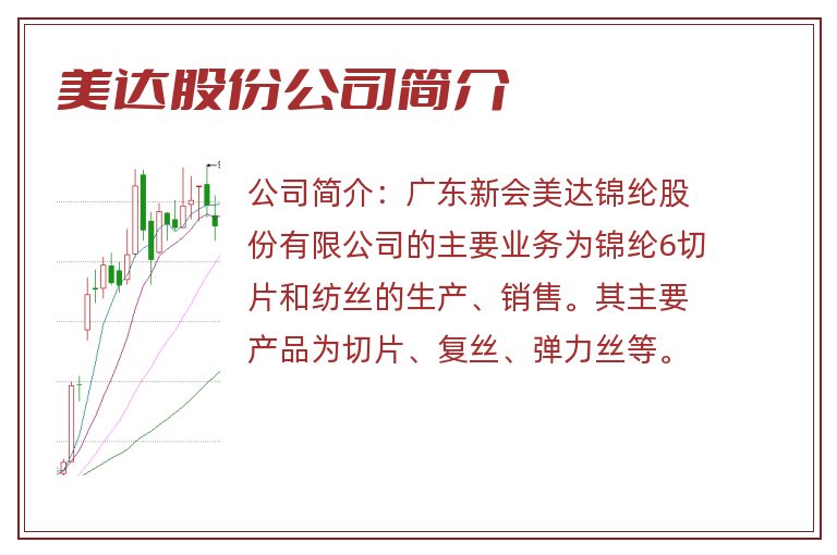 美达股份公司简介