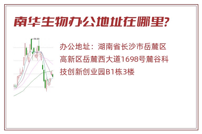 南华生物办公地址在哪里？