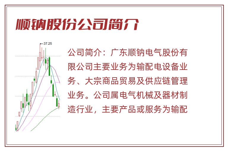 顺钠股份公司简介