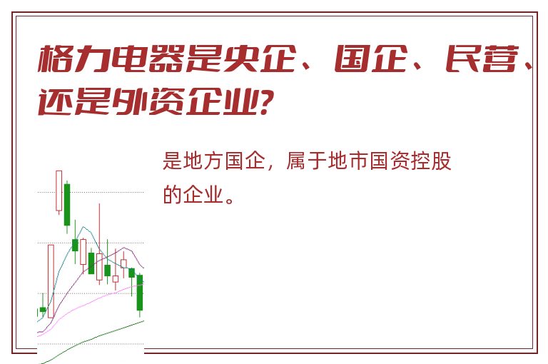 格力电器是央企、国企、民营、还是外资企业？