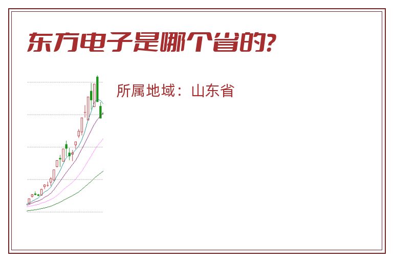 东方电子是哪个省的？