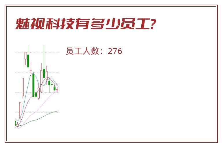 魅视科技有多少员工？