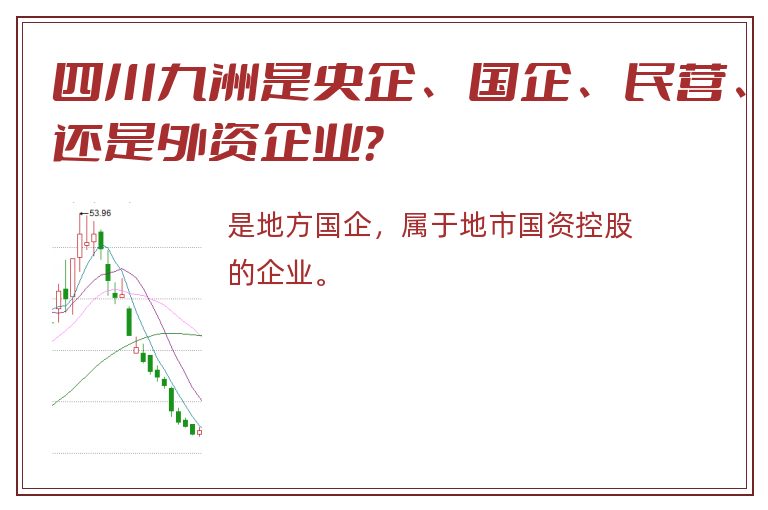 四川九洲是央企、国企、民营、还是外资企业？