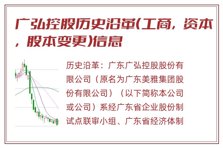 广弘控股历史沿革(工商,资本,股本变更)信息.jpg 广弘控股.jpg