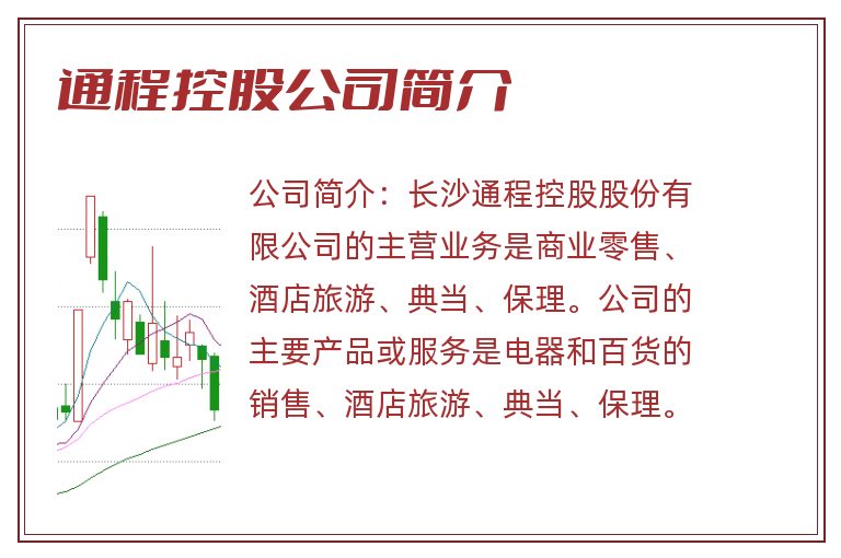 通程控股公司简介