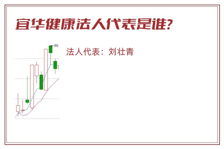 宜华健康法人代表是谁?.jpg 宜华健康.jpg