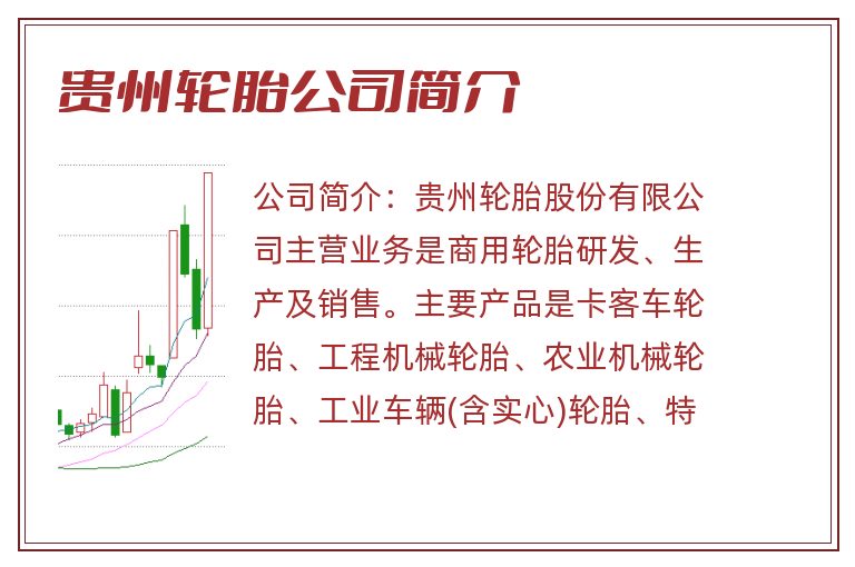 贵州轮胎公司简介
