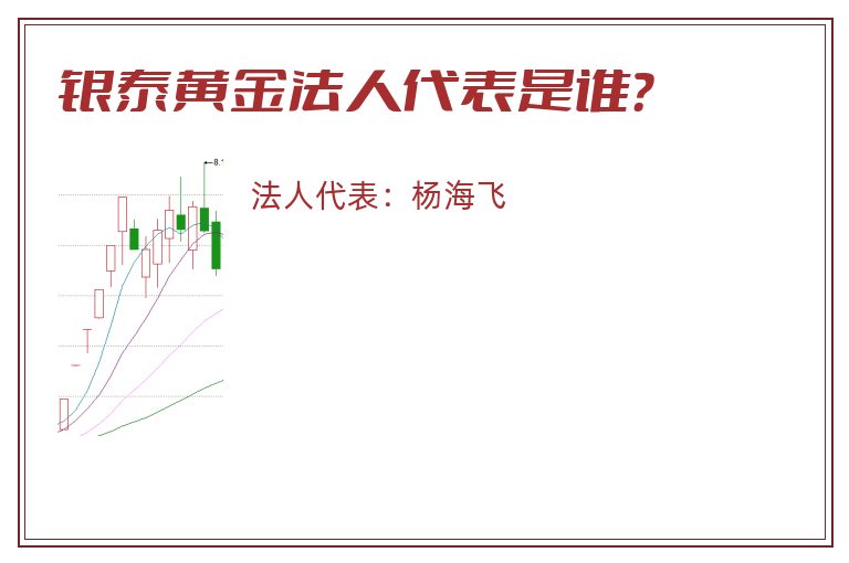 银泰黄金法人代表是谁?.jpg 银泰黄金.jpg
