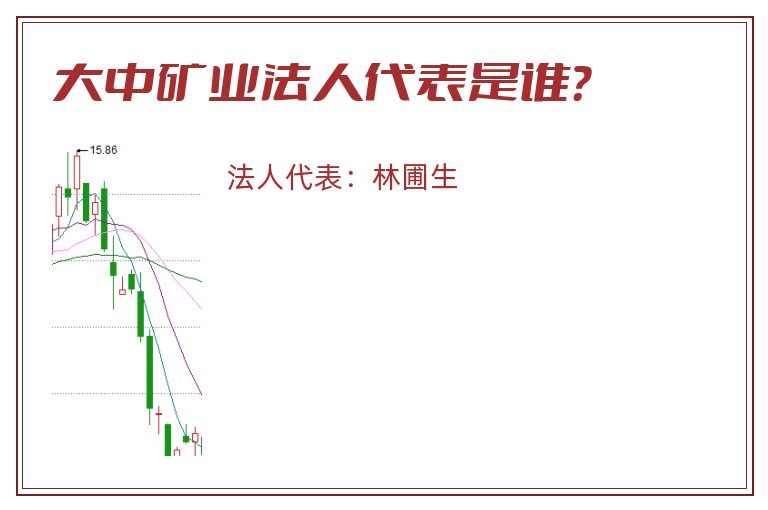 大中矿业法人代表是谁？
