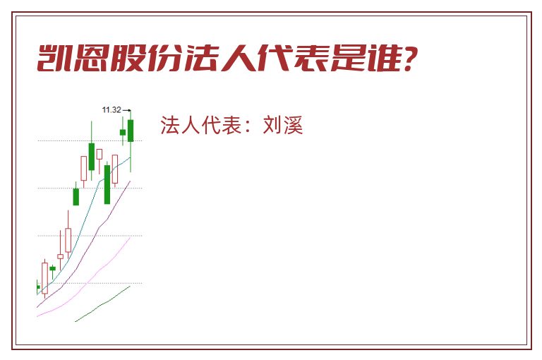 凯恩股份法人代表是谁？