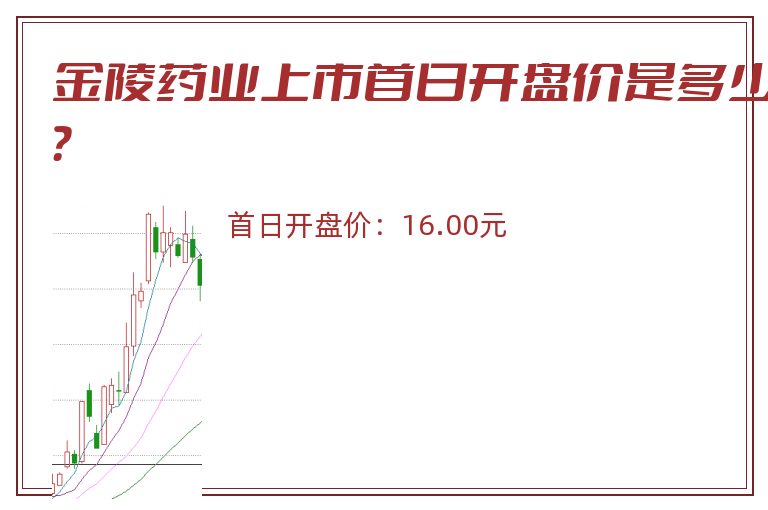 金陵药业上市首日开盘价是多少？