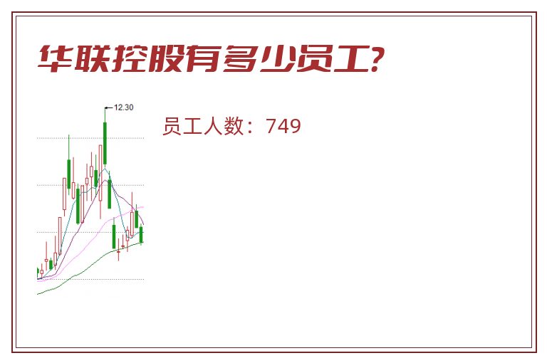 华联控股有多少员工？