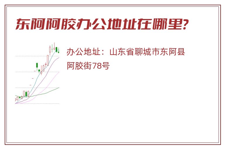 东阿阿胶办公地址在哪里？